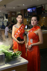 宋雨琦AI造梦工厂主界面展示